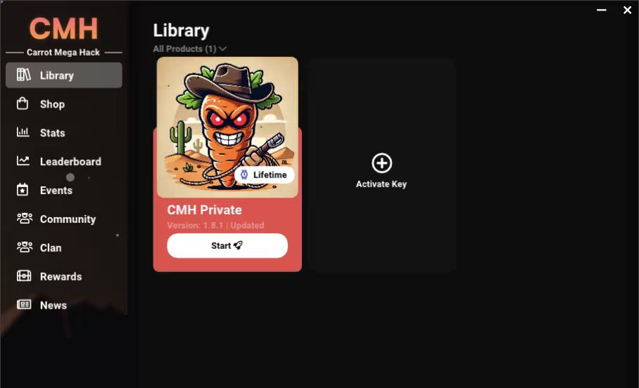 禁止在带有开始游戏的地方注入会报错