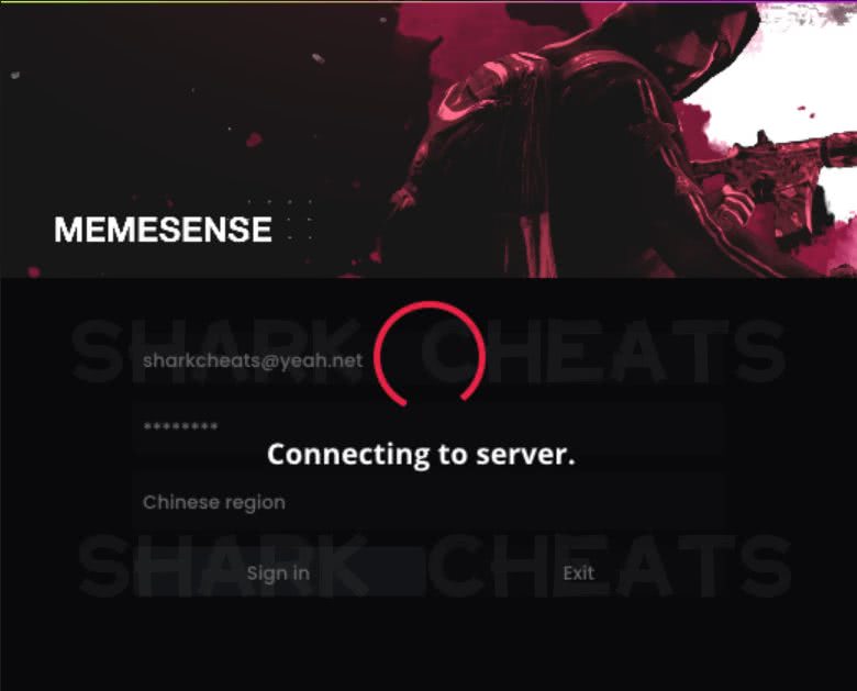 MemeSense注入界面5