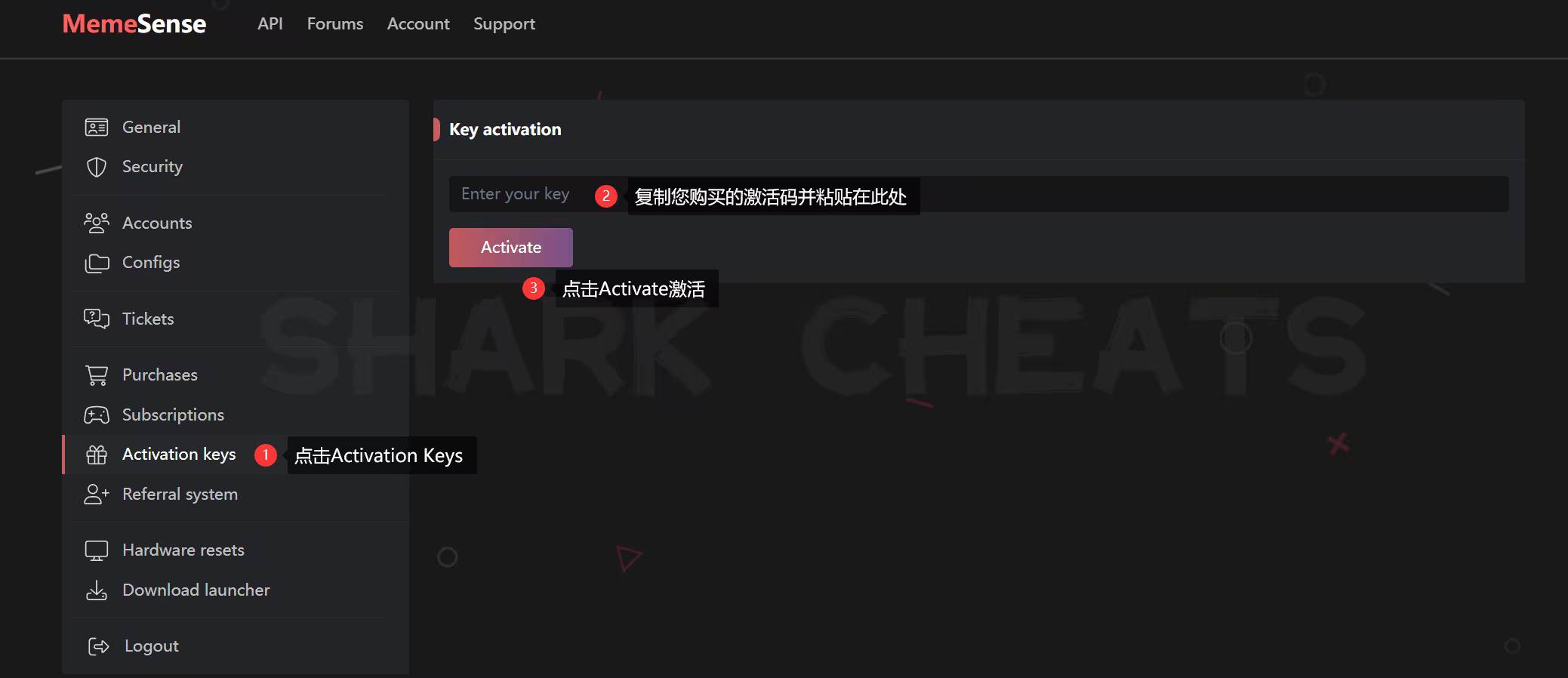 MemeSense激活界面