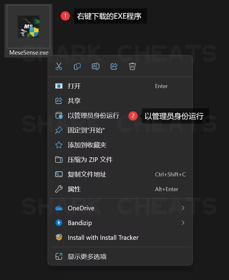 MemeSense注入界面1