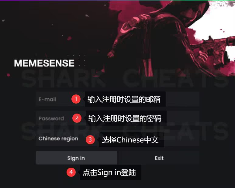 MemeSense注入界面4
