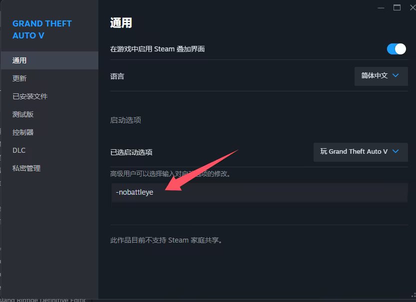 启动选项